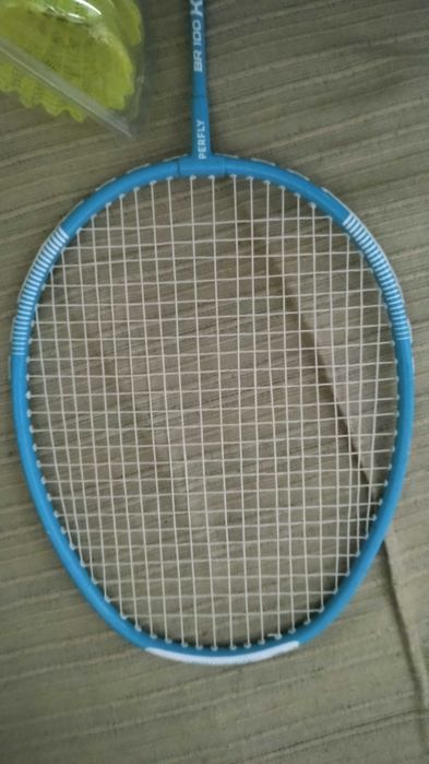 2 Raquetes badminton + 2 penas