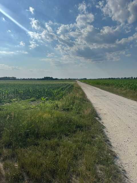 Działki rolne z potencjałem inwestycyjnym – Marcinkowice, gm. Oława, 1 hektar - Widok 5