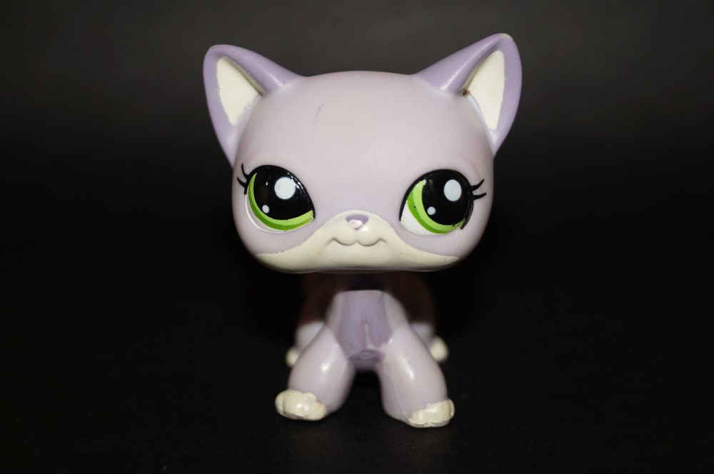 Littlest Pet Shop #2094 shorthair LPS pop oryginał 100% oryginalny