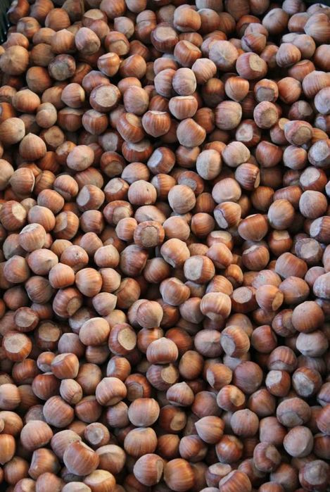Orzechy laskowe w łupinie prosto z Bieszczad [3kg]