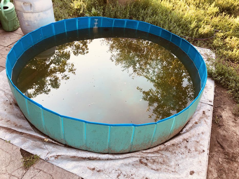 Бассейн 160/30 для собак