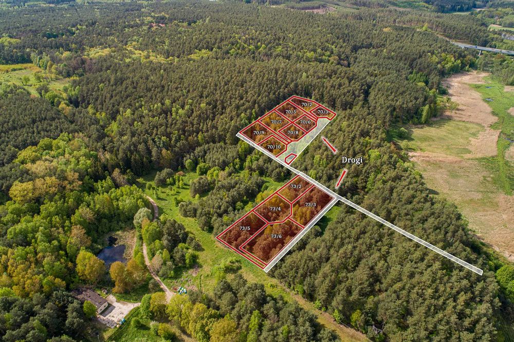 Torzym Młyńska Ostoja