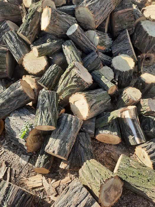 Дрова дуб,акация отборная