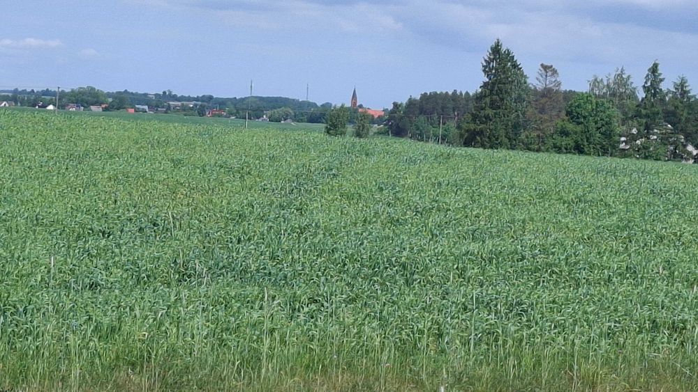 Działki budowlane Stara Kiszewa