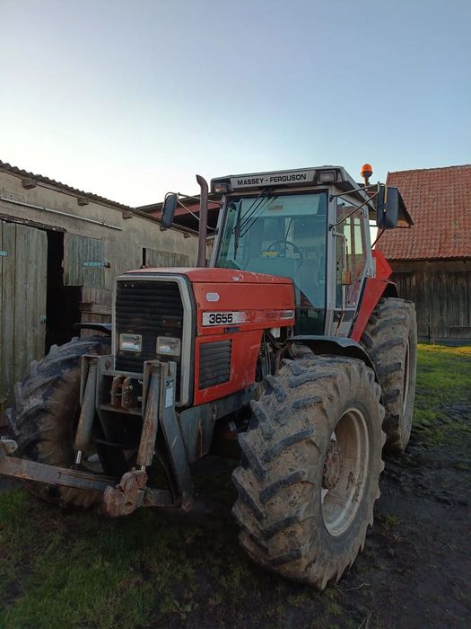 Massey Ferguson 3655  Massey Ferguson 3655