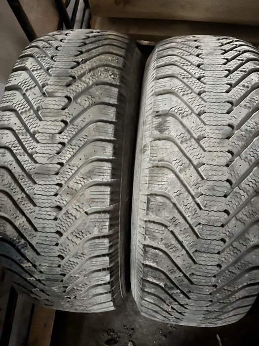 Резина 2 колеса, хозяин