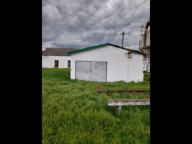 Оренда цеху переробки деревини с. Слюсареве Одеська область