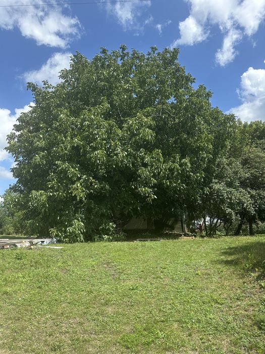 Продаж будинку в с.Гільці