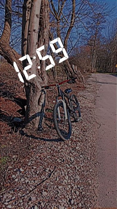 Giant Barss 2 (dirt ,stunt, dh)