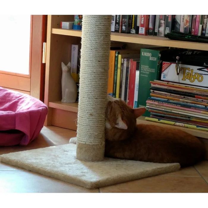 Słupek do drapania| NOWY | różne kolory