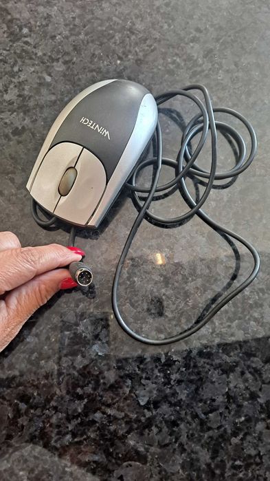 Rato cor cinza e prata