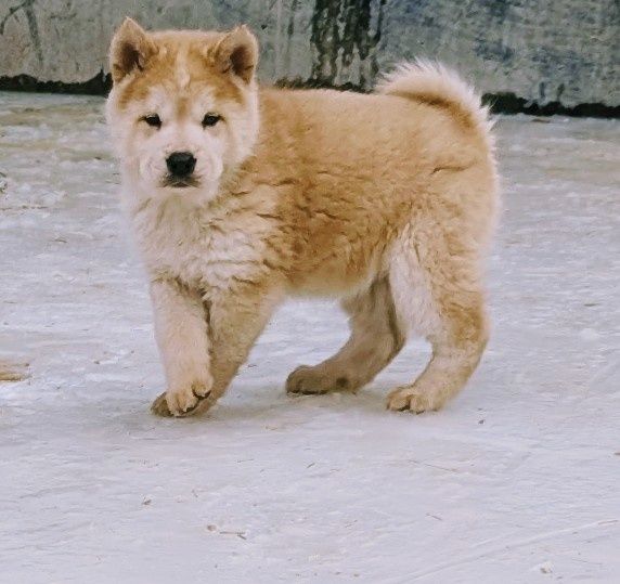 Наші солоденькі малюки