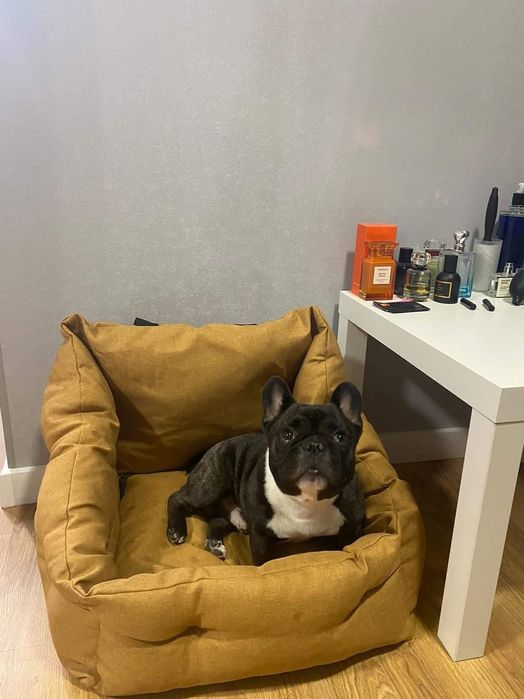 Автогамаки. 45*50 см. Колір сірий