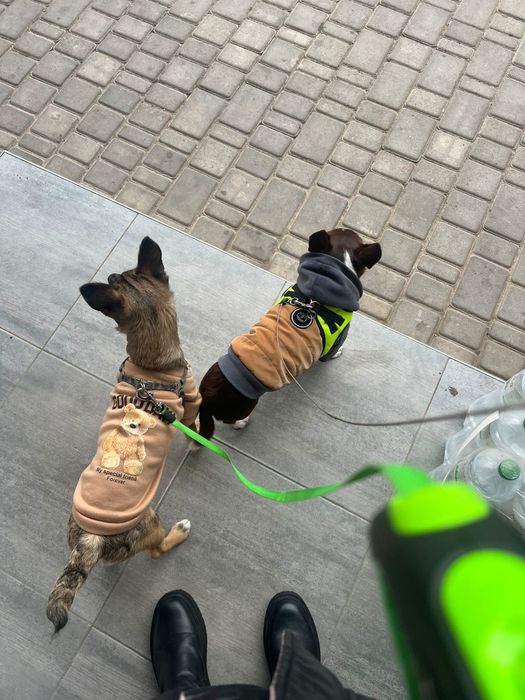 Мила  Бетті шукає родину