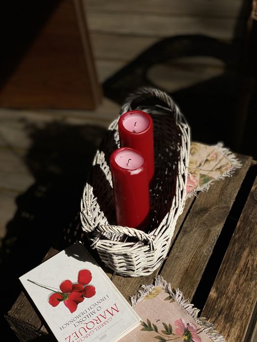 Leśny Czar-Dom na wynajem