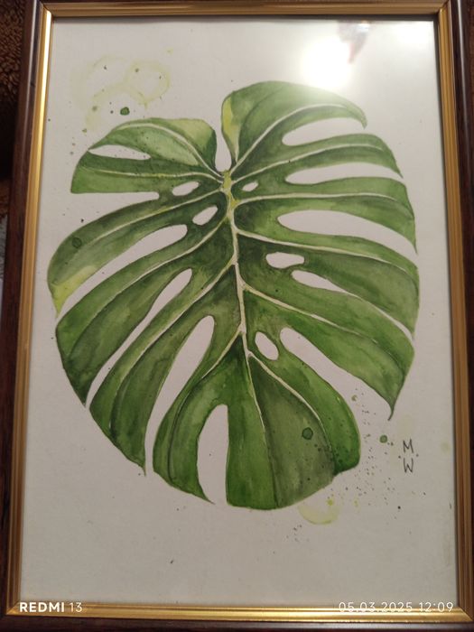 Картины в раме IKEA /акварель 50*70 та 23*32