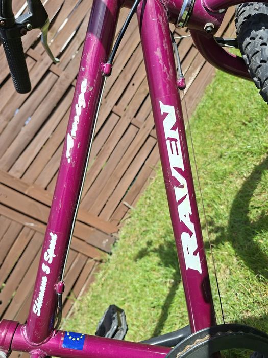 Rower dziewczęcy RAVEN