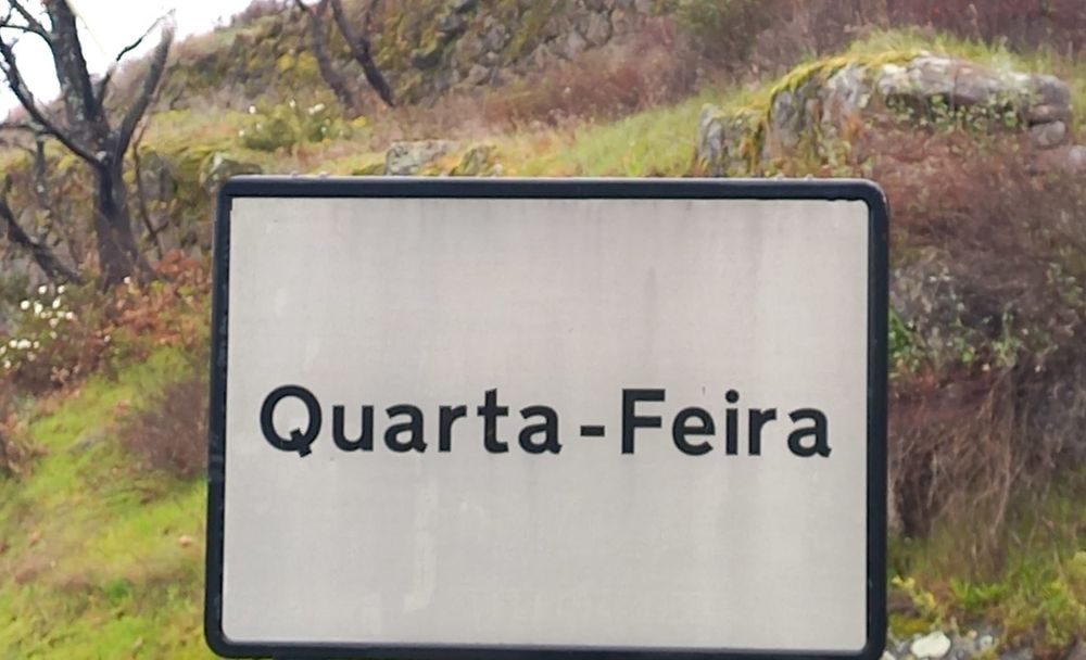 Toco cavalo de seis anos