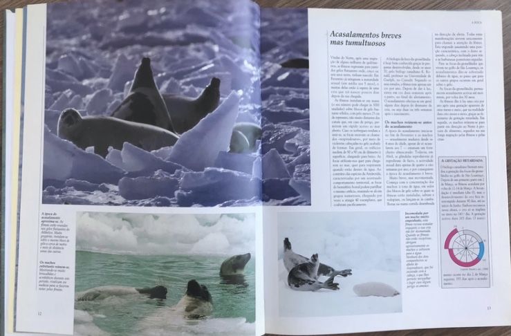 Animais das regiões polares