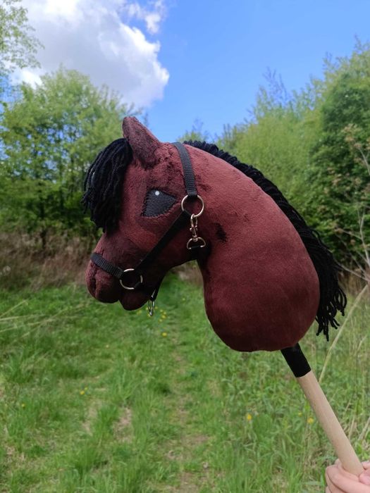 Hobby horse Santiago de Compostela
