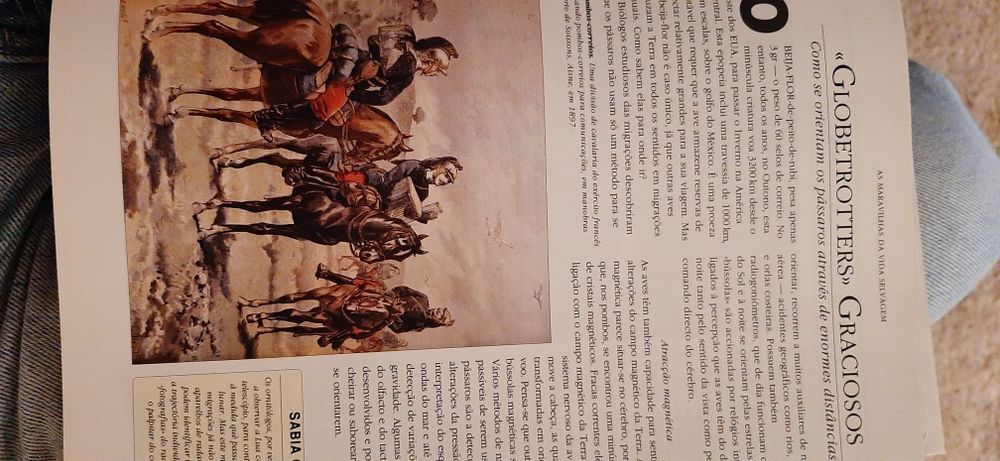 Livro "Sabia que...?"