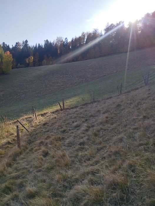 Sprzedam działkę budowlaną
