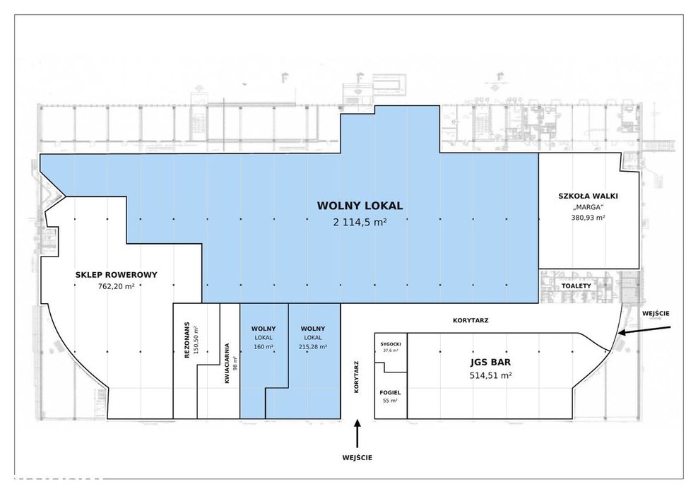 Lokal 160 M² Na Wynajem – Centrum Handlowe  "Przy Struga" W Radomiu