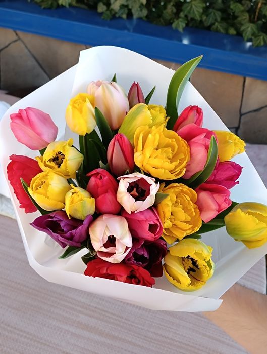 Тюльпани квіти букети