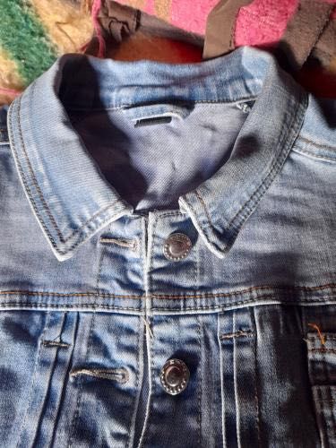 Casaca de ganga clara