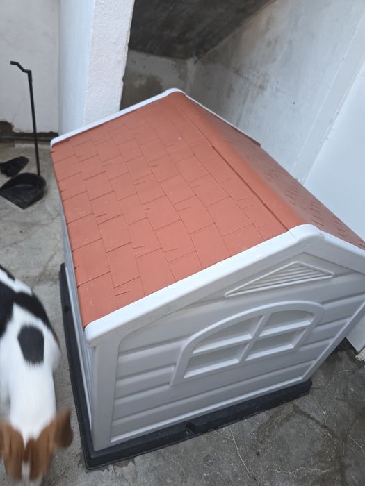 Casota kasa cães porte médio.