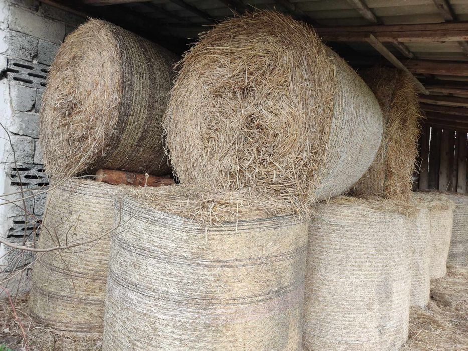 Słoma i siano z pod dachu. Możliwość transportu.