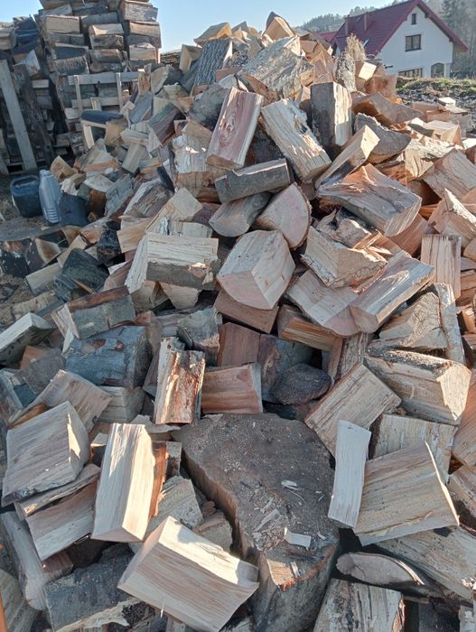 Drzewo opałowe buk jasion