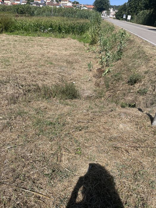 Terreno com viabilidade de construção
