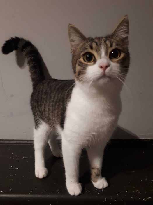 Adopcja mama i synek – duet, którego nie warto rozdzielić.