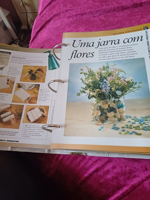 Enciclopédia Os Segredos  das Plantas