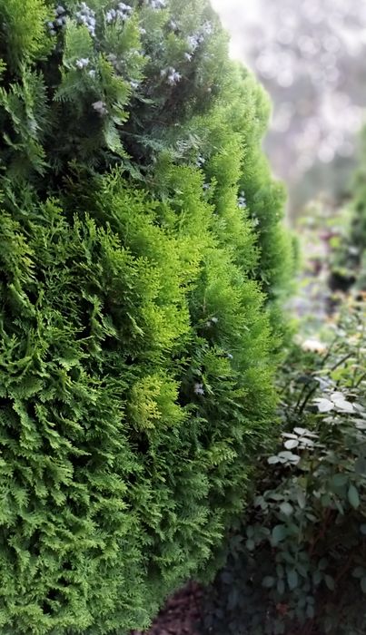 Meizu m6t  3/32гб.Стан ідеальний