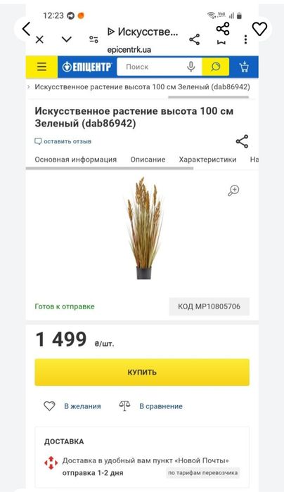 Трава пампасна очерет 100 см
