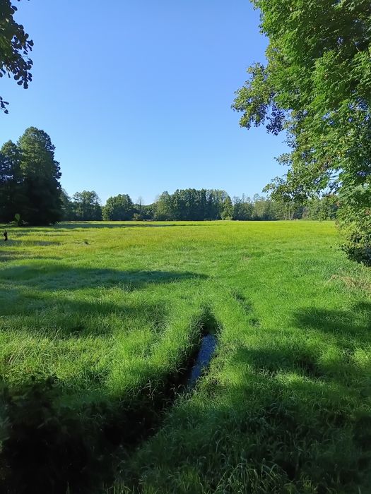 Sprzedam Łaki 3.2 hetara w 3 kawałkach