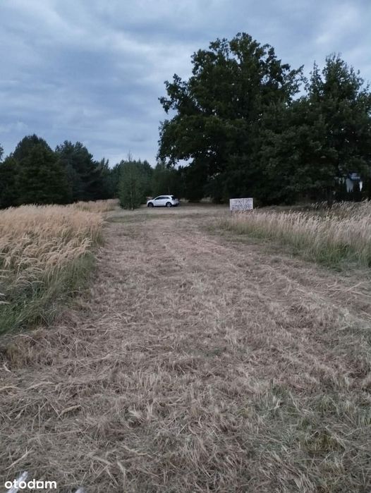 Trzy Działki w Żłobnicy, gmina Kleszczów - Widok 3