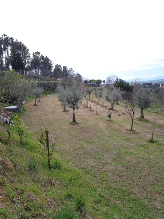 Vende-se quinta em Tibaldinho