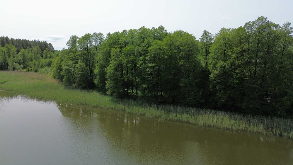 Działka 2500m2 Kałtki koło Starych Juch dostep do jeziora