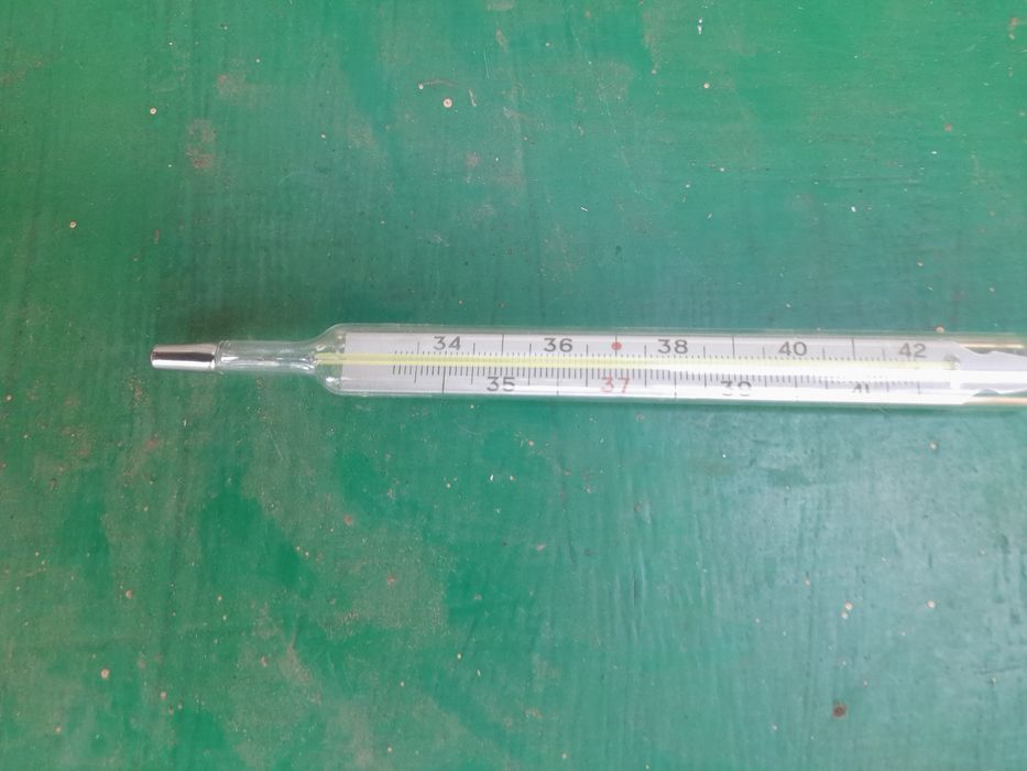 Термометр медицинский  Term.Normalglas.