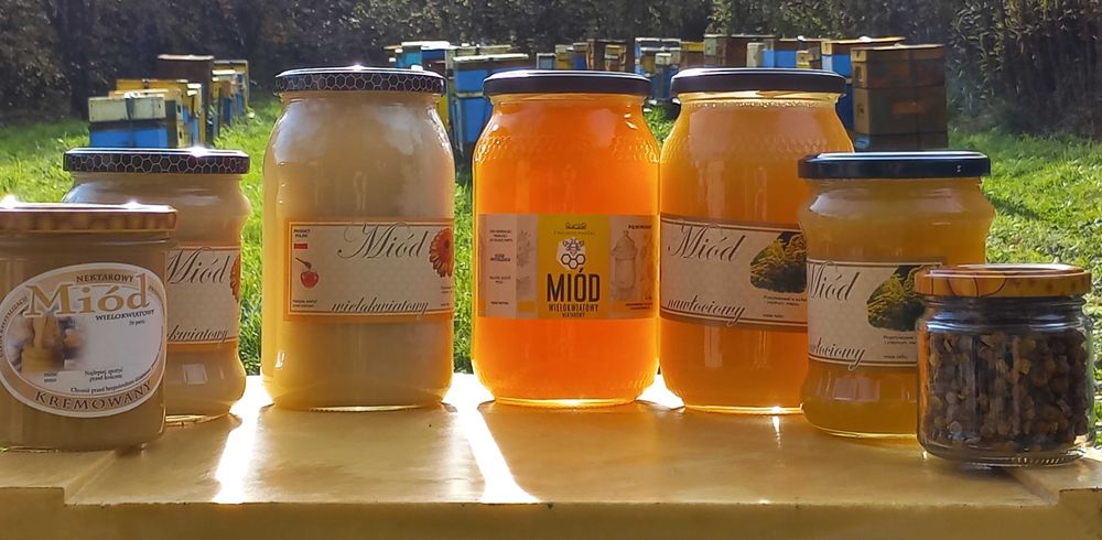 Miod wielokwiatowy i nawlociowy