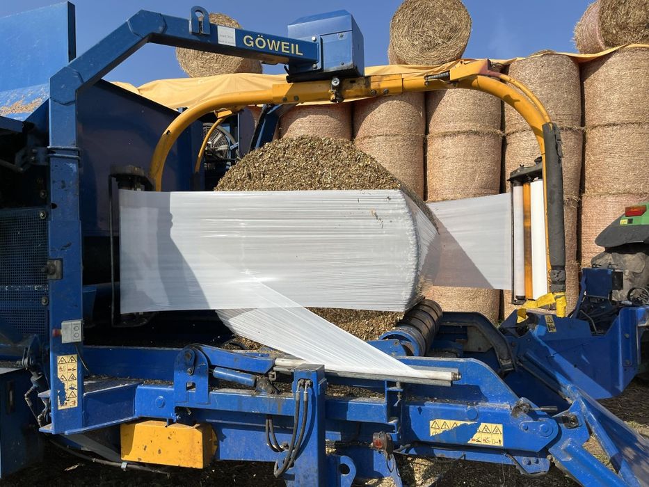 Kiszonka z kukurydzy pasza kukurydza bele