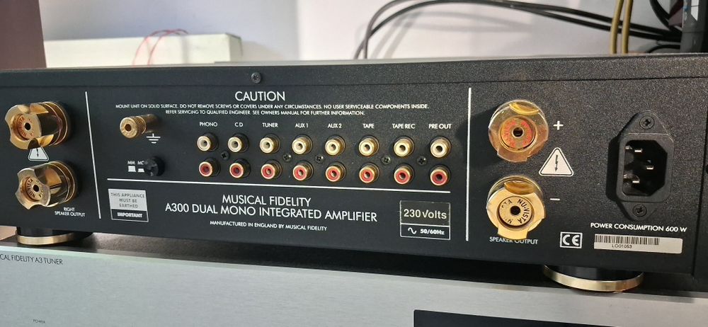 Musical Fidelity A 300 top stan