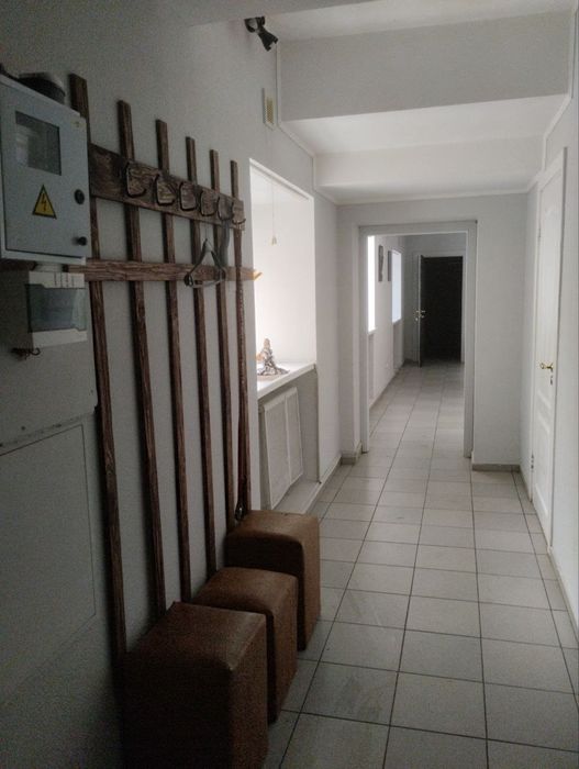 Домашня перетримка собак так котів | Київ Бровари