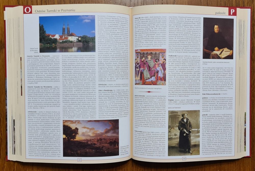 Encyklopedia szkolna. Historia Polski