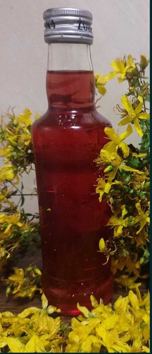 Olej dziurawcowy 1500 ml