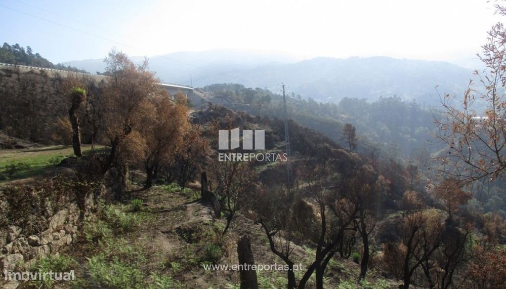 Land for Sale, Bustelo, Amarante