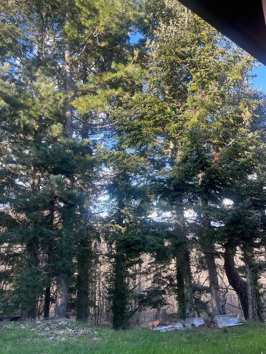 Затишний заміський будинок у Тавароне, Італія, 5.8 гектарів землі